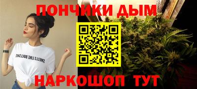 крисы Кимры