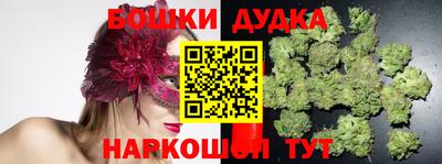 крисы Кимры