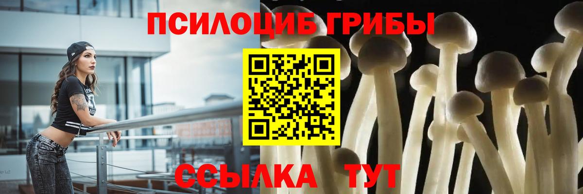 Королёв  Галлюциногенные грибы MAGIC MUSHROOMS  Псилоцибиновые грибы мицелий  как найти наркотики  Вход с VPN 